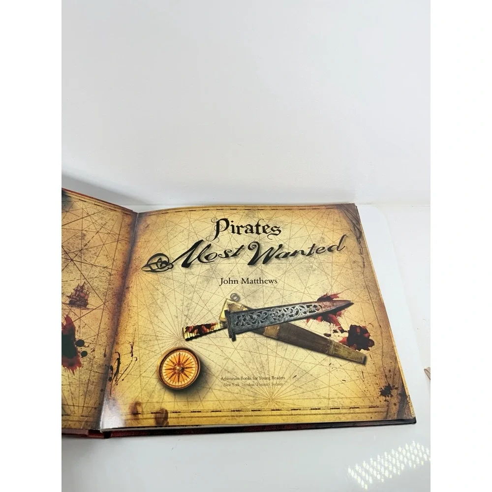 Pirates : Most Wanted by John Matthews (2007, Picture Book)